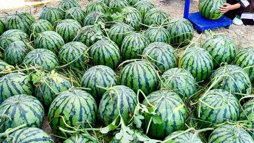 中国网红泰国吃瓜事件,揭秘中国网红在泰国的真实遭遇