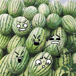 吃瓜福利网,带你畅游美食盛宴的云端世界