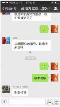 快手网红吃瓜群qq群聊,揭秘网络社交背后的八卦风云