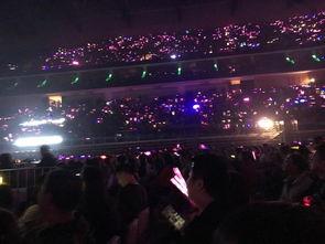 吃瓜网演唱会黑人